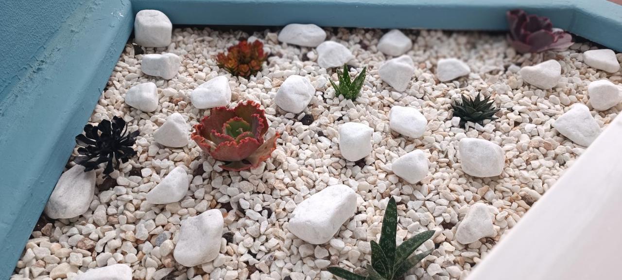 Serendipia 산미겔데아보나 외부 사진